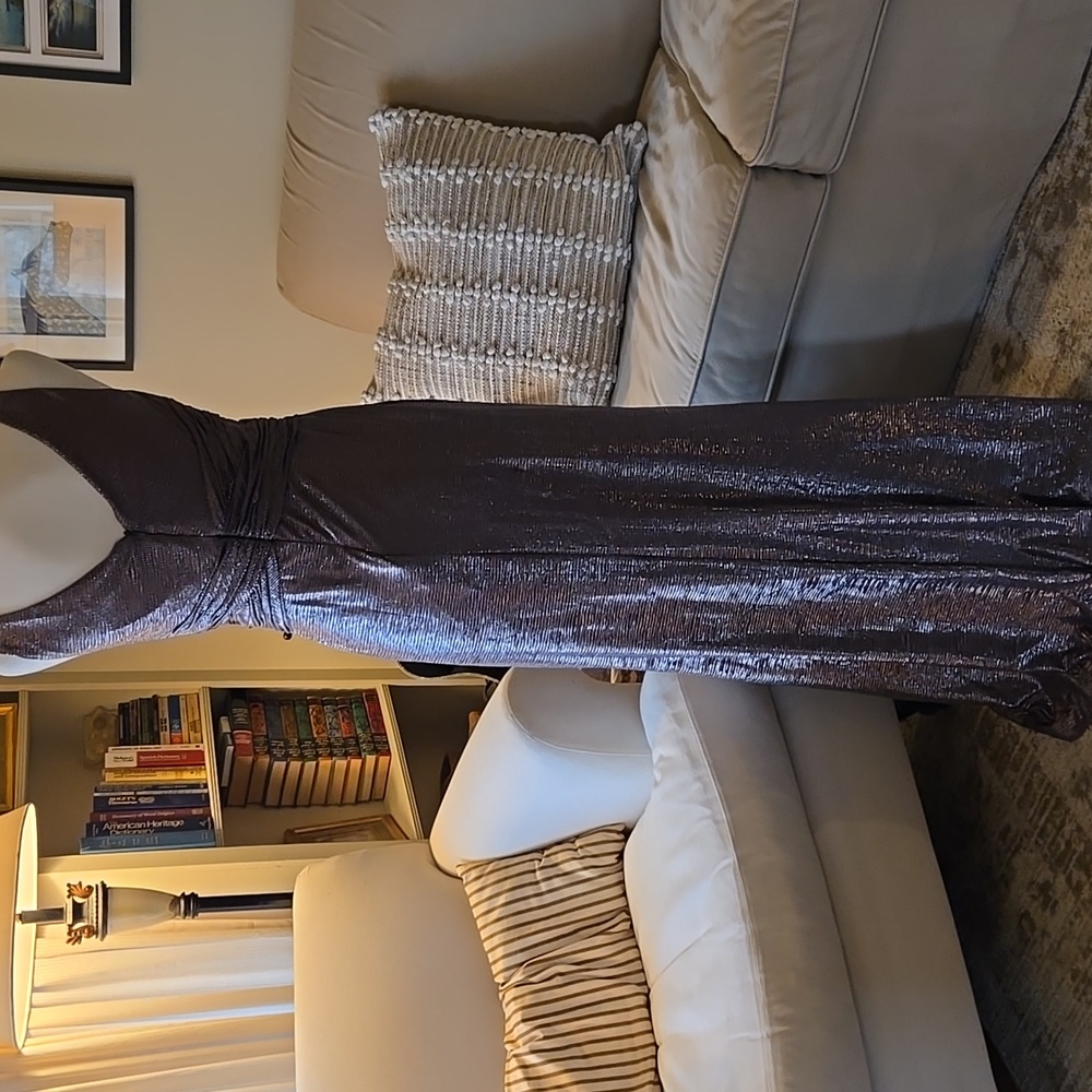 NWT Ralph Lauren Gray Metallic Dress Size 4 - Picture 2 of 13